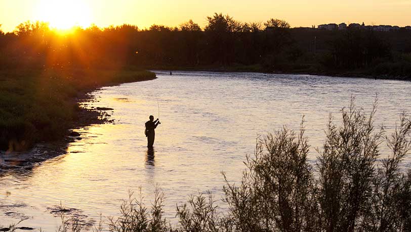 view1flyfish
